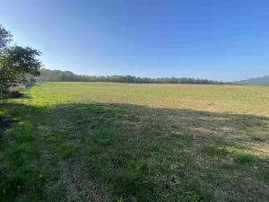 Dražba pole, Víska u Jevíčka, 5681 m2
