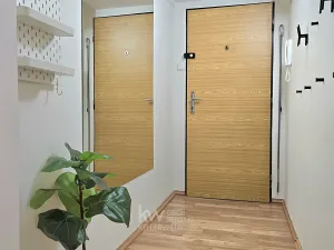 Pronájem bytu 1+kk, Praha - Vinohrady, Londýnská, 48 m2
