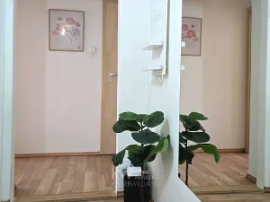 Pronájem bytu 1+kk, Praha - Vinohrady, Londýnská, 48 m2