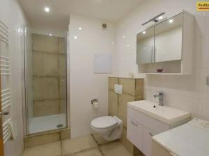 Pronájem bytu 1+kk, Praha - Nusle, Kotorská, 35 m2