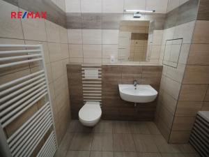 Pronájem bytu 2+kk, Velký Osek, U hřiště, 58 m2