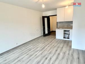 Pronájem bytu 1+kk, Praha, Otická, 34 m2
