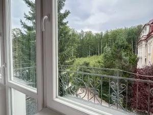 Pronájem bytu 2+kk, Mariánské Lázně, Třebízského, 50 m2
