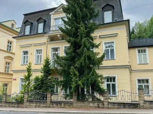 Pronájem bytu 2+kk, Mariánské Lázně, Třebízského, 50 m2