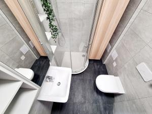 Pronájem bytu 1+kk, Brno, Dominikánské náměstí, 20 m2
