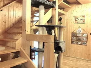 Prodej rodinného domu, Děpoltovice, 220 m2