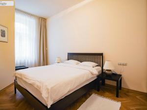 Pronájem bytu 2+1, Praha - Vinohrady, Polská, 50 m2