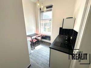 Pronájem bytu 1+kk, Praha - Žižkov, Seifertova, 34 m2