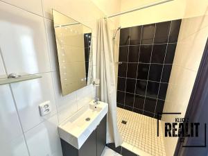 Pronájem bytu 1+kk, Praha - Žižkov, Seifertova, 34 m2