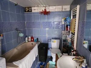 Prodej chaty, Zdiby, Zahradní, 74 m2