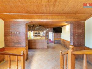 Pronájem restaurace, Plzeň - Jižní Předměstí, Klatovská třída, 50 m2