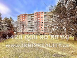 Pronájem bytu 2+kk, Plzeň, U Jam, 39 m2
