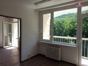 Prodej bytu 1+1, Ústí nad Labem - Střekov, Tolstého, 45 m2