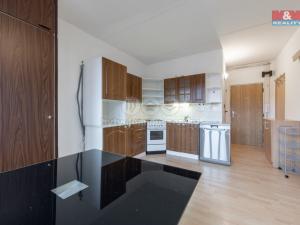Pronájem bytu 1+1, Kynšperk nad Ohří, U Pivovaru, 40 m2
