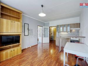 Pronájem bytu 2+kk, Plzeň - Severní Předměstí, Bzenecká, 38 m2