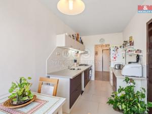Prodej bytu 3+1, Ústí nad Labem - Krásné Březno, Obvodová, 78 m2