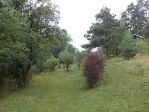 Dražba pozemku pro bydlení, Skuteč, 881 m2