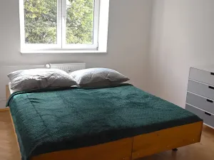 Pronájem bytu 2+1, České Budějovice, Puklicova, 50 m2