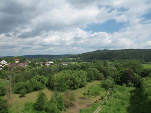 Prodej louky, Šťáhlavy, 12702 m2