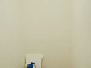 Pronájem bytu 1+kk, Olomouc, Janského, 35 m2