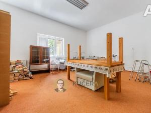 Prodej skladu, Velká Chmelištná, 550 m2