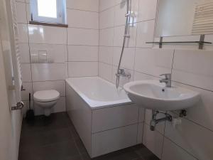 Pronájem bytu 2+kk, Sušice, 50 m2