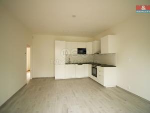 Pronájem bytu 3+kk, Oleška, 62 m2