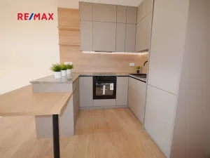 Pronájem bytu 2+kk, Slaný, Lázeňská, 52 m2