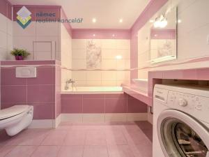 Pronájem bytu 2+kk, Mladá Boleslav, 17. listopadu, 43 m2