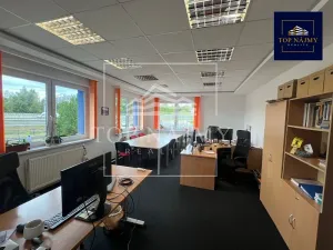 Pronájem kanceláře, Ostrava, Opavská, 80 m2