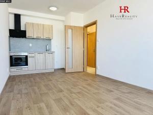 Pronájem bytu 1+kk, Benešov, Hodějovského, 27 m2