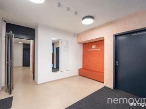 Pronájem bytu 3+kk, Praha - Nusle, Muzikova, 79 m2