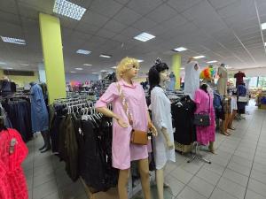 Pronájem obchodního prostoru, České Budějovice, Větrná, 623 m2