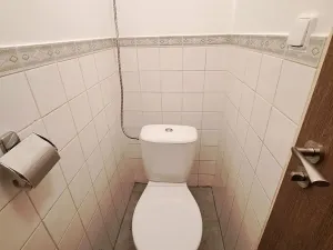 Pronájem bytu 2+1, Hradec Králové, Puškinova, 60 m2