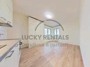 Pronájem bytu 1+kk, Praha - Podolí, Levá, 27 m2