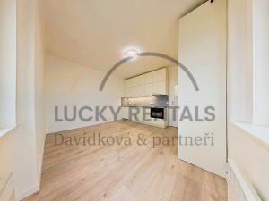 Pronájem bytu 1+kk, Praha - Podolí, Levá, 27 m2