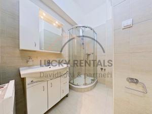 Pronájem bytu 1+kk, Praha - Podolí, Levá, 27 m2