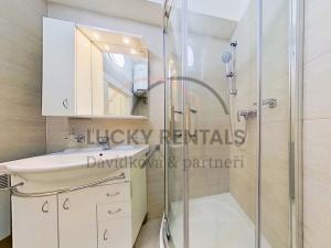 Pronájem bytu 1+kk, Praha - Podolí, Levá, 27 m2