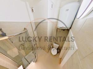 Pronájem bytu 1+kk, Praha - Podolí, Levá, 27 m2