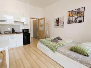 Pronájem bytu 1+kk, Brno, Vlhká, 21 m2