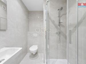 Prodej bytu 2+kk, Teplice - Trnovany, U Červeného kostela, 43 m2