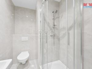 Prodej bytu 2+kk, Teplice - Trnovany, U Červeného kostela, 43 m2