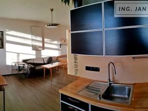 Pronájem bytu 1+kk, Jihlava, Palackého, 35 m2