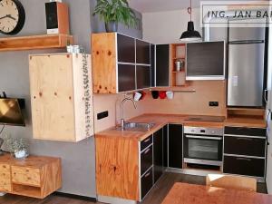Pronájem bytu 1+kk, Jihlava, Palackého, 35 m2