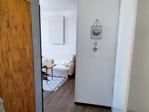 Pronájem bytu 1+kk, Jihlava, Palackého, 35 m2