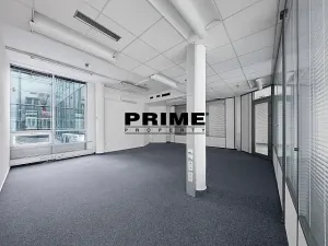 Pronájem kanceláře, Praha - Nové Město, Krakovská, 300 m2