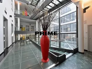 Pronájem kanceláře, Praha - Nové Město, Krakovská, 300 m2