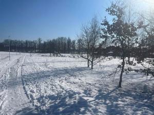 Prodej pozemku pro bydlení, Mimoň, Vranovská, 1002 m2
