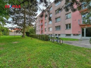 Pronájem bytu 2+kk, Nymburk, U Růžáku, 49 m2