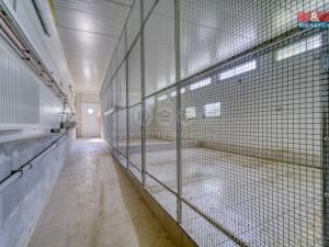 Prodej výrobních prostor, Lhůta, 1220 m2